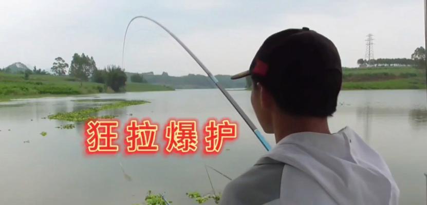 如何成为钓鱼发烧友？提升钓大鱼几率的秘诀是什么？
