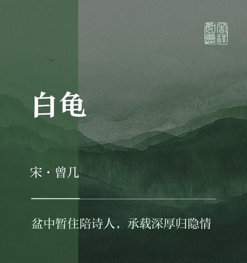 白龟在完美世界中的背景故事是什么？有何特殊作用？