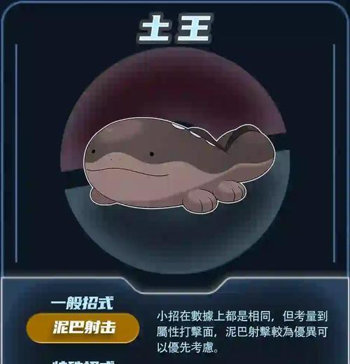 口袋妖怪土王战斗技巧是什么？