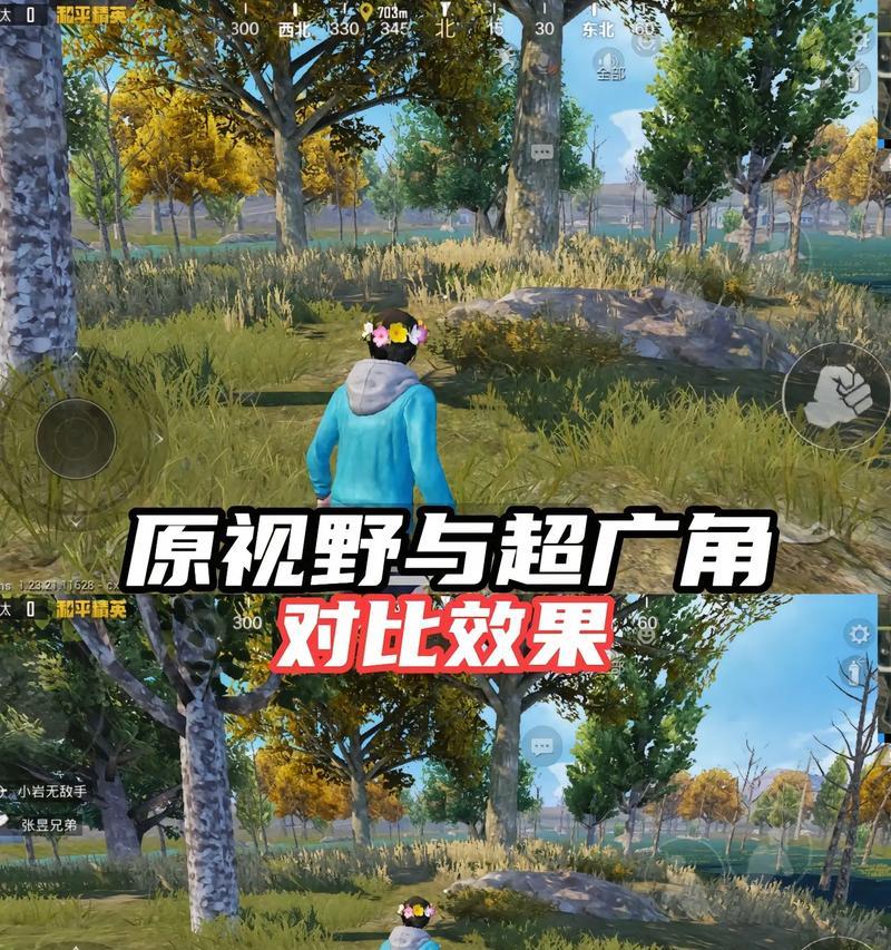 如何区分和平精英与绝地求生？两者有哪些主要差异？